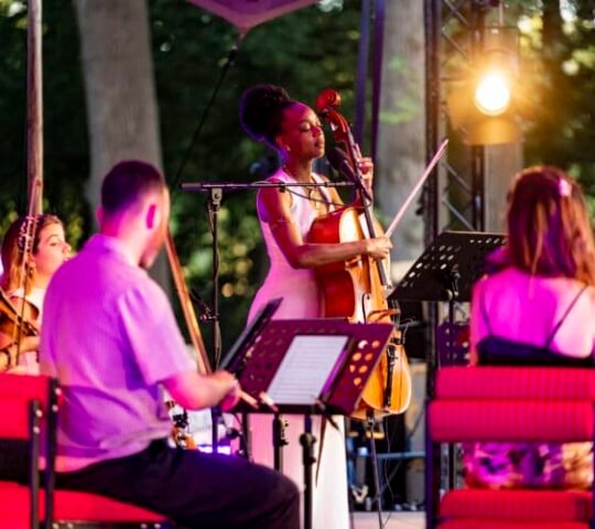 Grauzone Festival 2027 – The Hague, Netherlands Grauzone Festival 2027 – The Hague, Netherlands