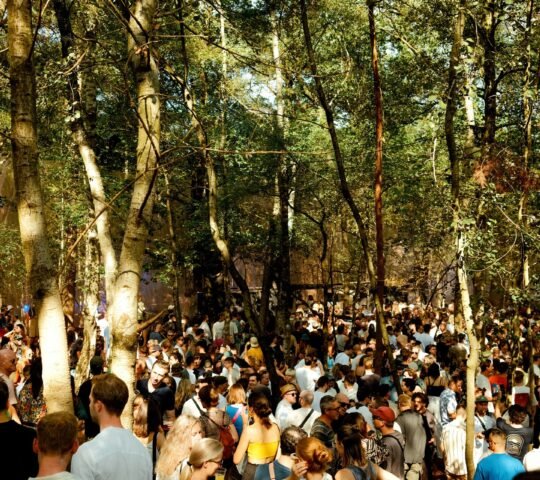 Draaimolen Festival 2027 – Tilburg, Netherlands